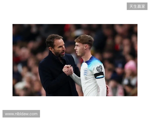 图赫尔谈10号位:一阶段考察帕尔默&福登;二阶段贝林&罗杰斯